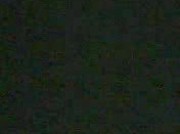 Amateur Video of Lucky_90